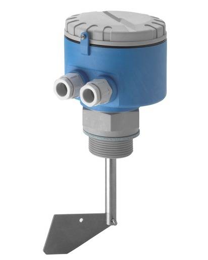 Endress Hauser Paddle switch – Soliswitch FTE30 Promag  по лучшей цене с доставкой - интернет-магазин Прогрессивные решения